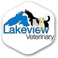 Lakeview Veterinary