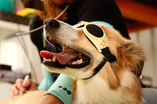 Laser Therapy