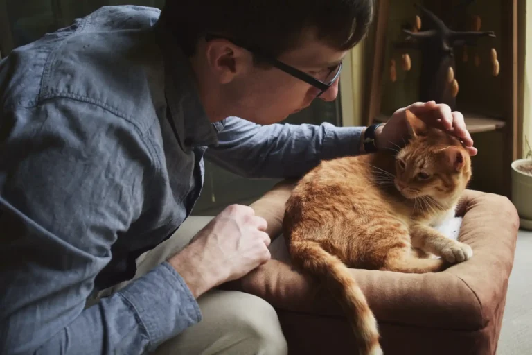 Vaccinations for Pets: Why They’re Still Essential